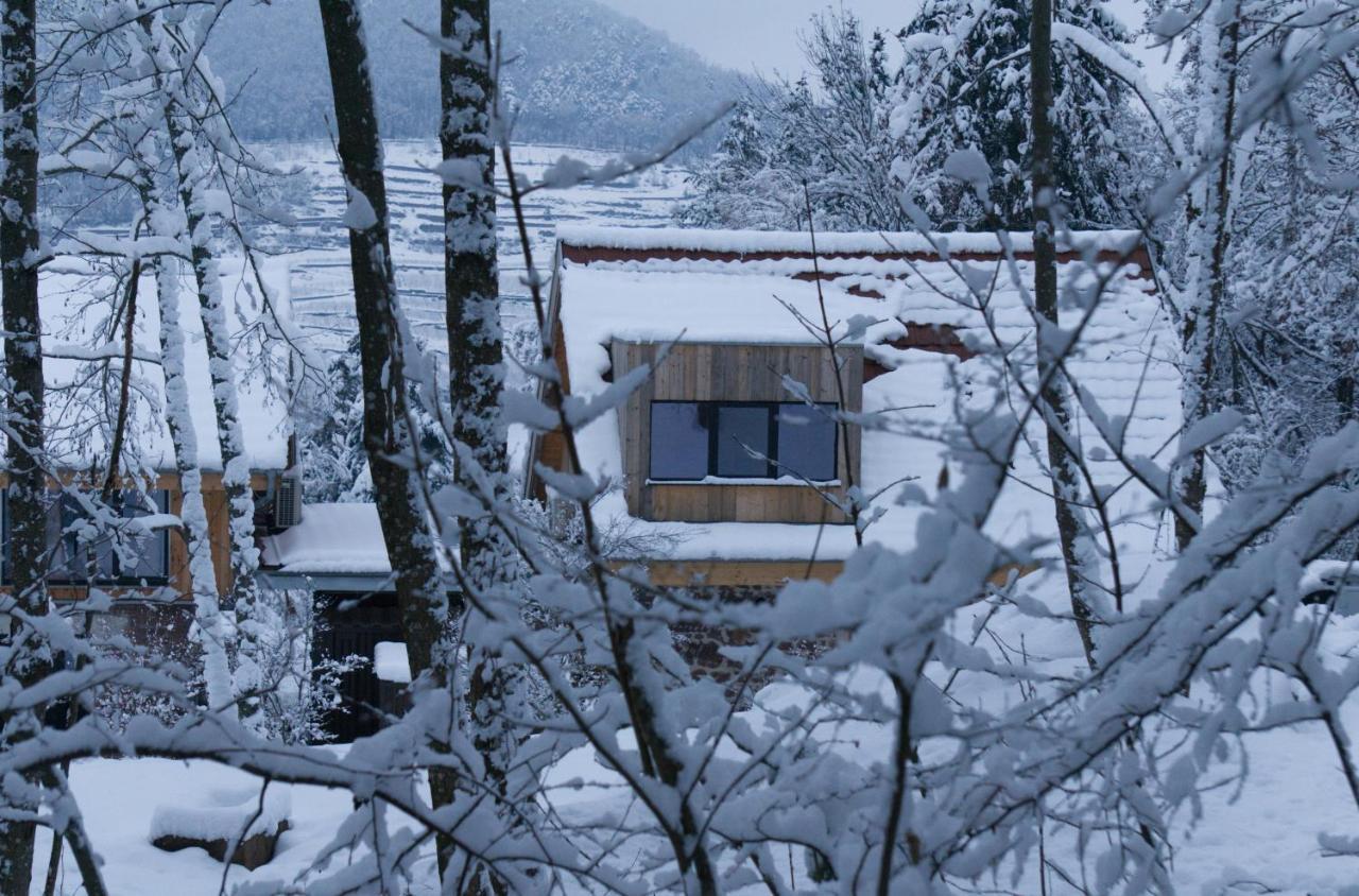Le Grand Petit Prince - Domaine De Charme - Jacuzzis Privatifs Guebwiller Exteriér fotografie