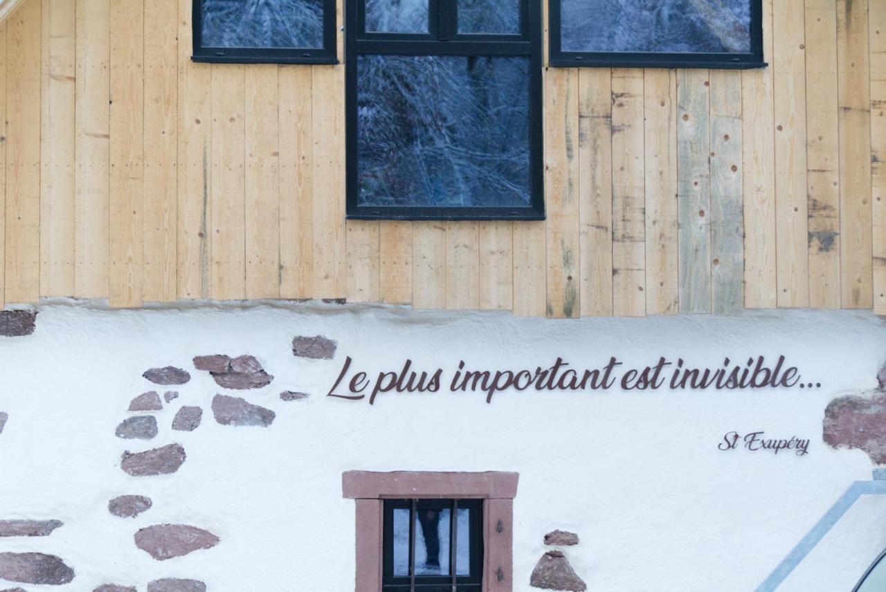 Le Grand Petit Prince - Domaine De Charme - Jacuzzis Privatifs Guebwiller Exteriér fotografie
