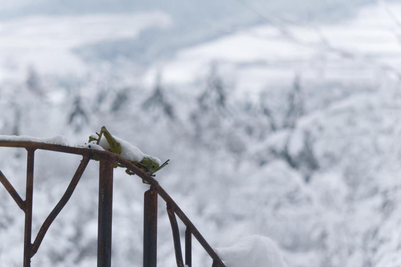 Le Grand Petit Prince - Domaine De Charme - Jacuzzis Privatifs Guebwiller Exteriér fotografie
