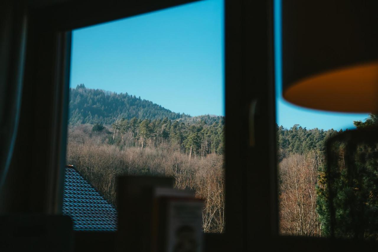 Le Grand Petit Prince - Domaine De Charme - Jacuzzis Privatifs Guebwiller Exteriér fotografie